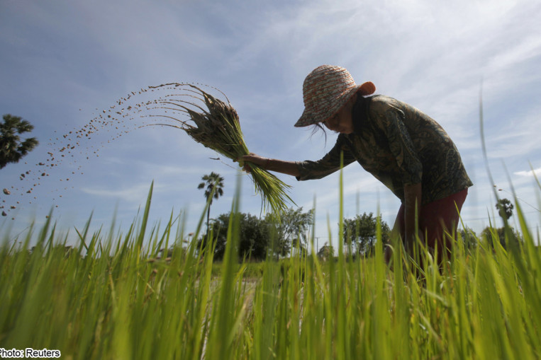 Dr Maliki attends G20 Agriculture ministers meeting in Istanbul