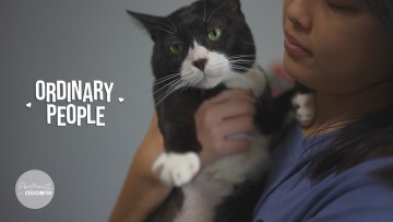 /video/saving-lives-one-cat-time-ordinary-people